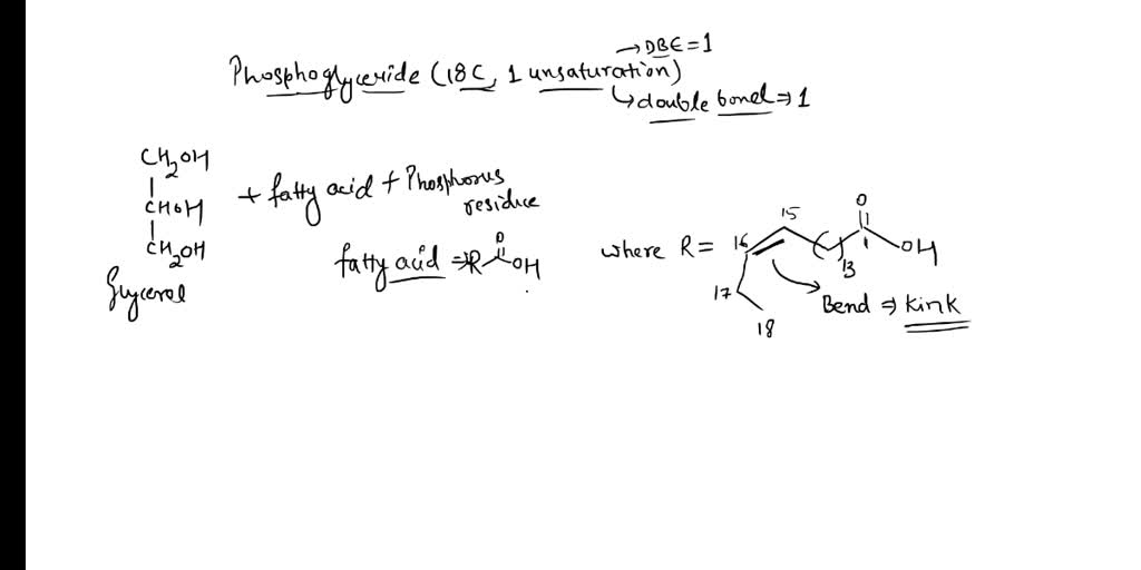 SOLVED Draw A Phosphoglyceride With Each Carbon Chain Containing 18