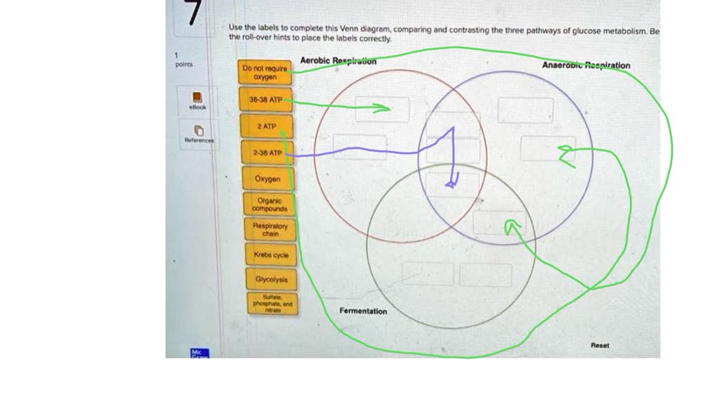 SOLVED Chapter 7 Homework Use The Labels To Complete This Venn Diagram