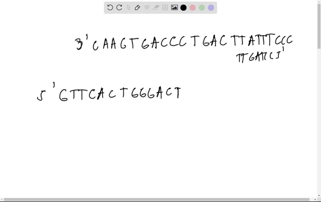 Solved Write The Sequence Of The Template And Non Template Strands Of