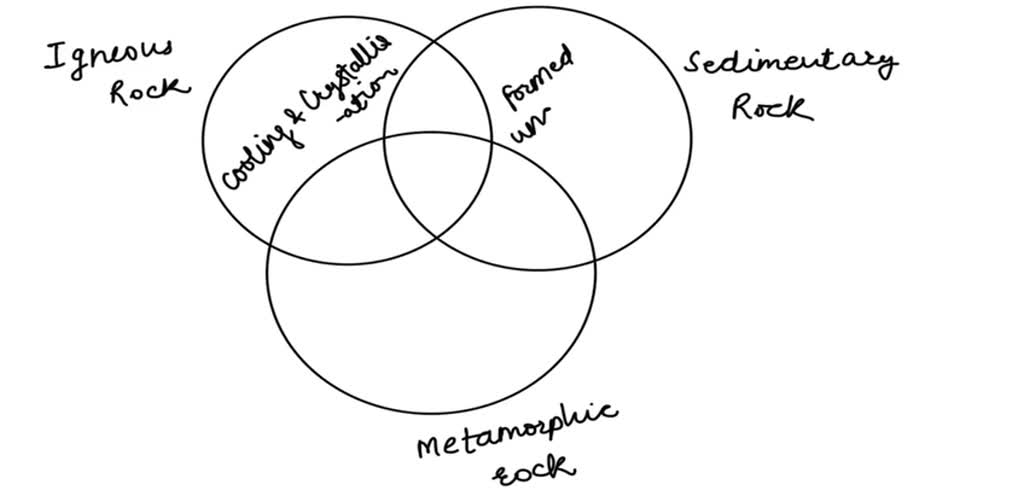 Fill In The Venn Diagram To Determine The Similarities And Differences