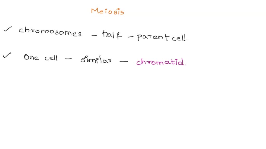 SOLVED Review Meiosis By Defining The Following Terms Meiosis The