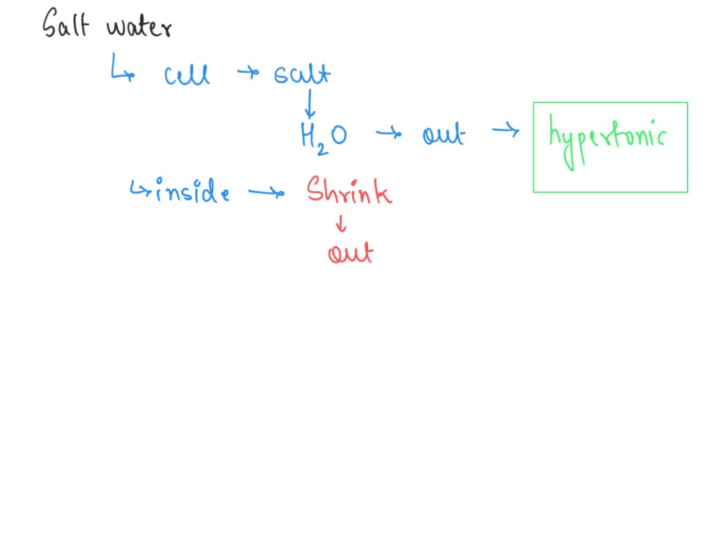 Solved Explain What Caused The Changes To Occur In The Cell When It