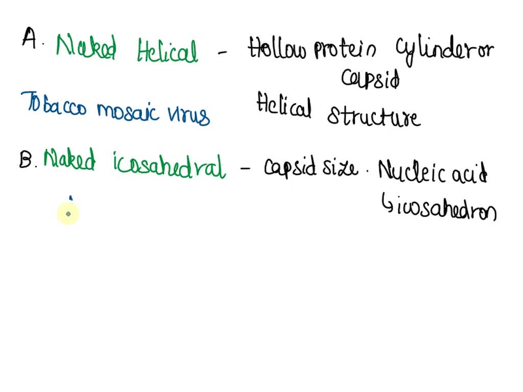 SOLVED 5 4C Select The Morphology That Best Describes Each Viral