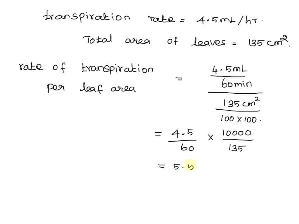 Solved Calculate The Rate Of Transpiration Per Leaf Area Ml Min M