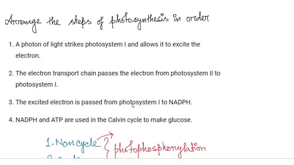 Solved Match The Statement To The Correct Molecule Accepts