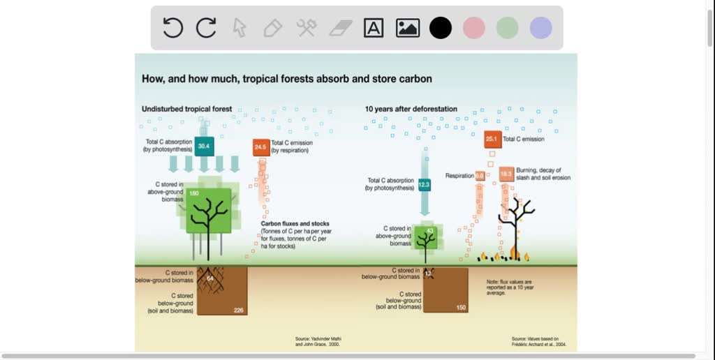 SOLVED Hubungan Antara Perubahan Iklim Dengan Upaya Pelestarian Hutan