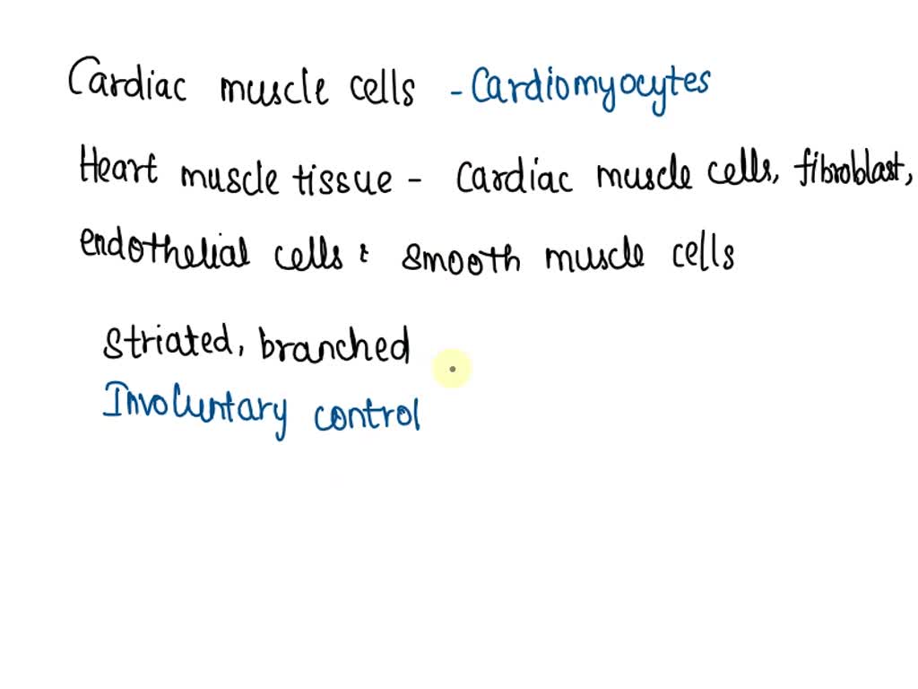 Solved Al Part A Histology Cardiovascular Cardiovascular System