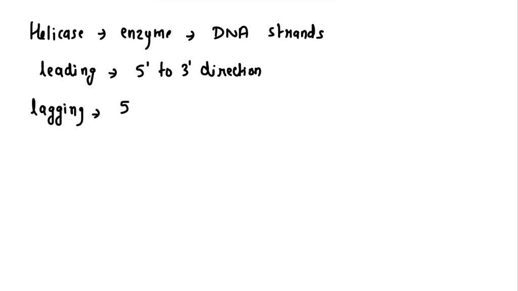 SOLVED Can You Label The Components Of Replicating DNA Strands To