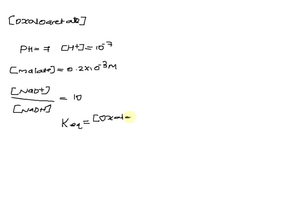 SOLVED The Oxidation Of Malate By NAD To Form Oxaloacetate Is A Highly