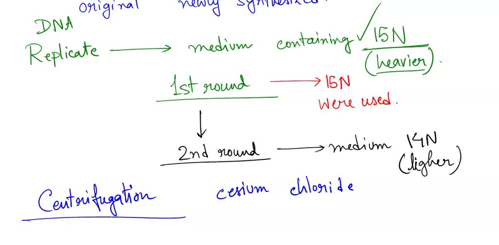 SOLVED Describe An Experiment That Uses Heavy And Light Isotopes Of