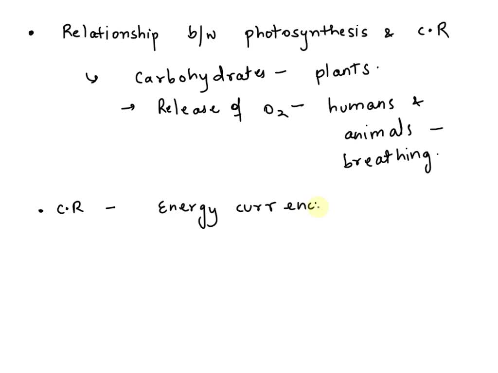 Solved Which Is The Relationship Between Photosynthesis And Cellular