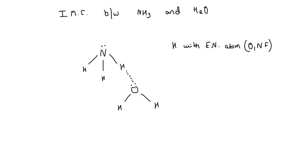 Solved For Ammonia Identify The Intermolecular Forces Present London