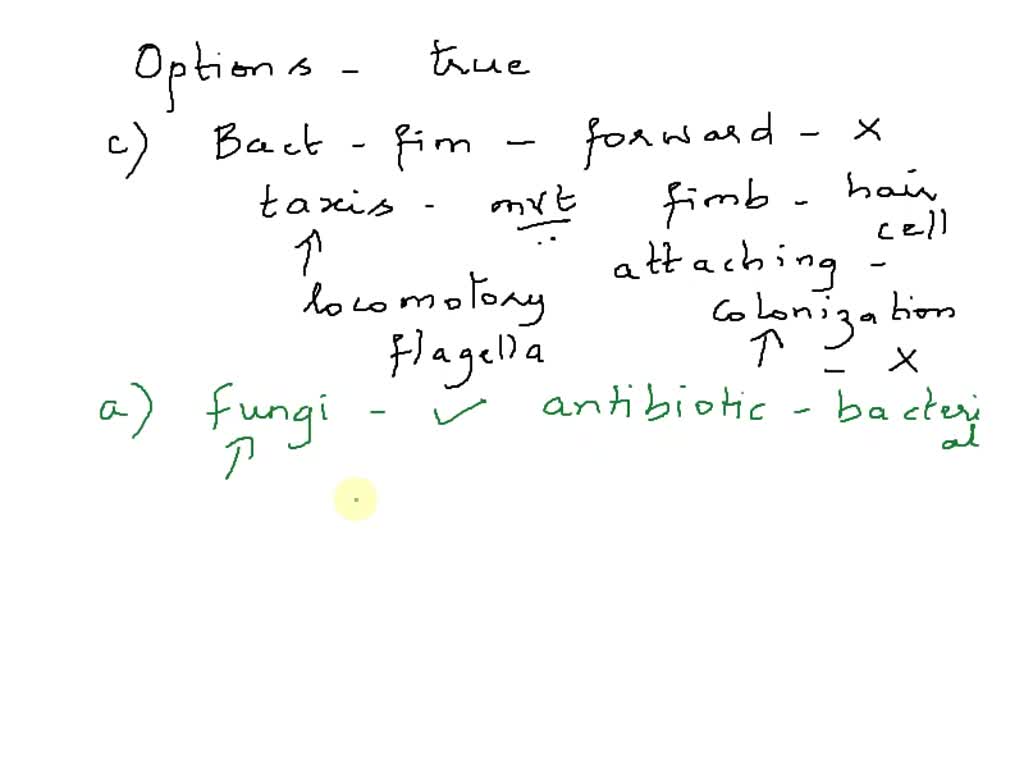 SOLVED Which Of The Following Statements Is True Select All That Apply Fungi Are Naturally