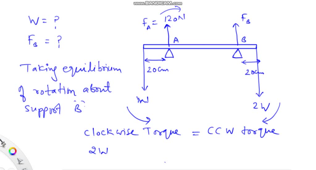 Solved A Meter Stick Of Negligible Weight Is Supported At The Cm