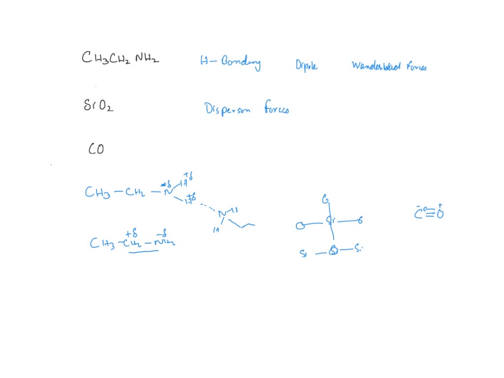 SOLVED ADVANCED MATERIAL Identifying The Intermolecular Forces Betwecn