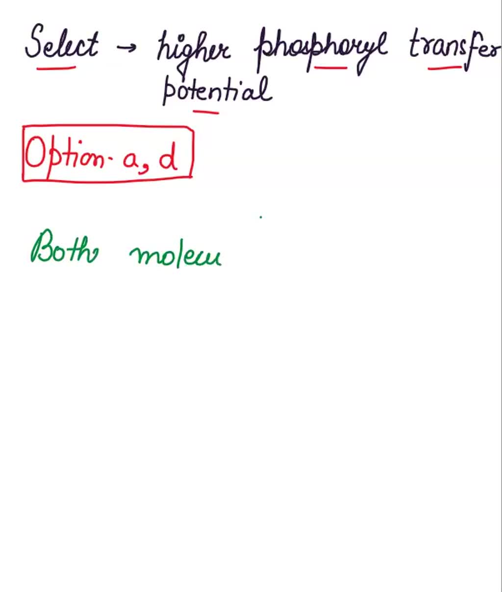 Solved Both Adenosine Triphosphate Atp And Creatine Phosphate Pcr