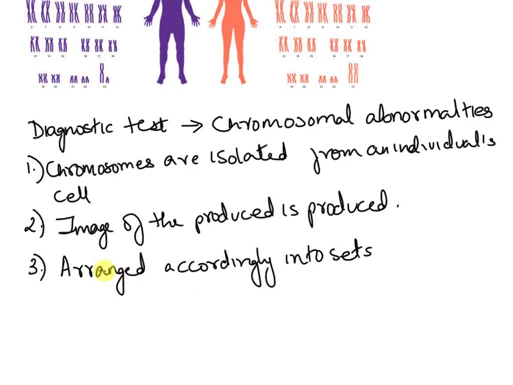 Solved Which Do You Think Is Easier To Identify On A Karyotype