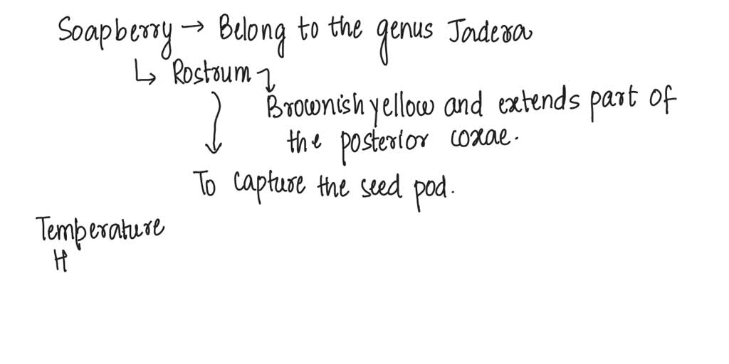 Solved The Change In Rostrum Length In Florida Soapberry Bugs Occurred