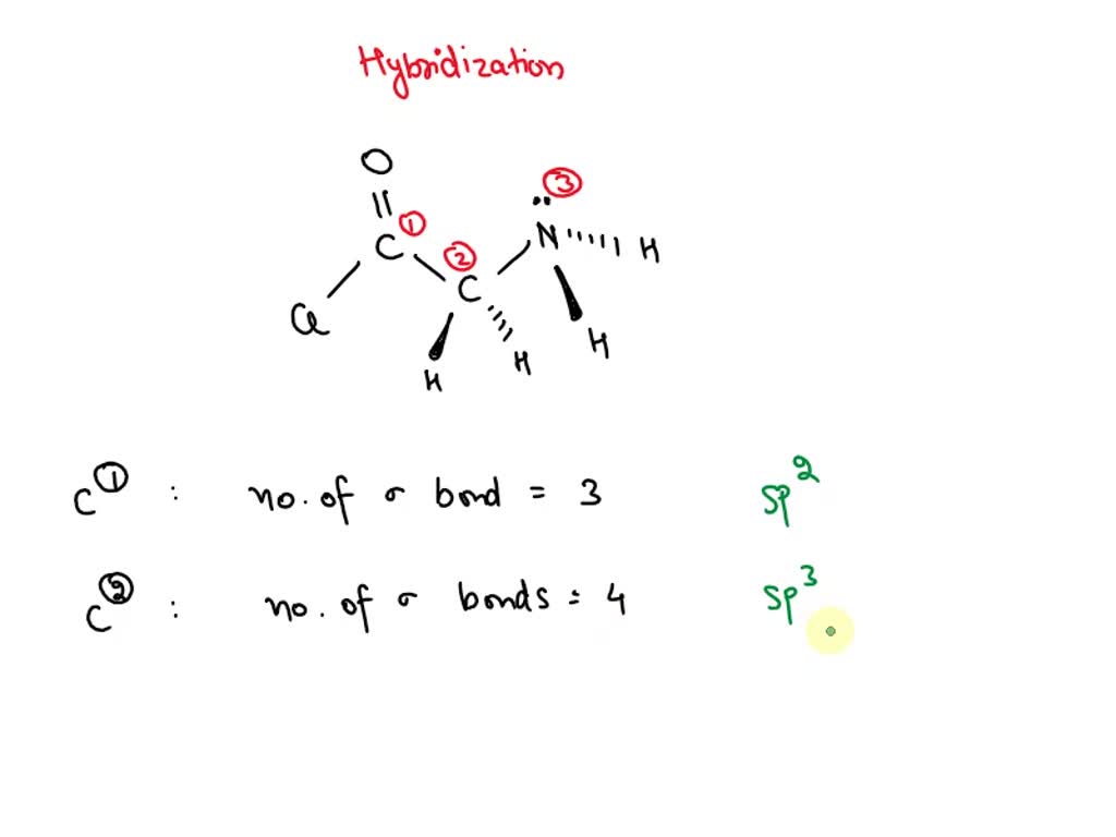 SOLVED Consider The Molecule Below Determine The Hybridization At Each