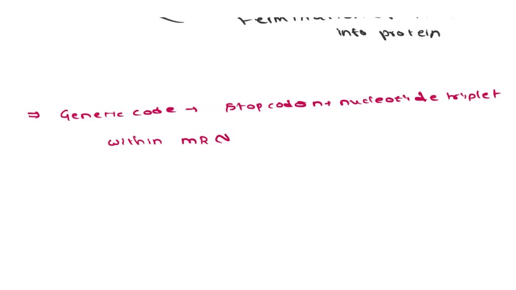 Solved Messenger Rna Mrna Must Have One Termination Sequence To End