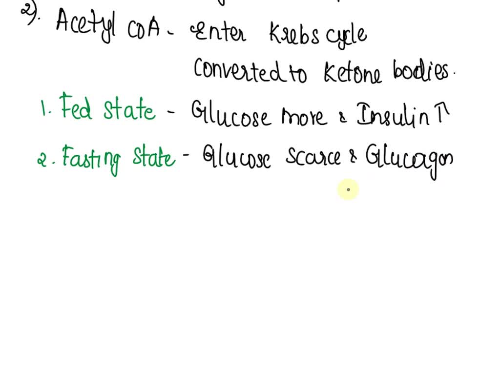 Solved The Figure Below Shows The Processes Of Glucose And Fat