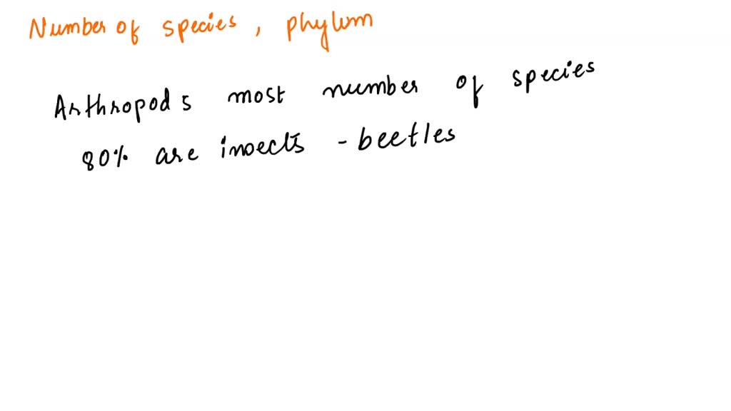 SOLVED The Most Successful Phylum With Regards To Diversity And