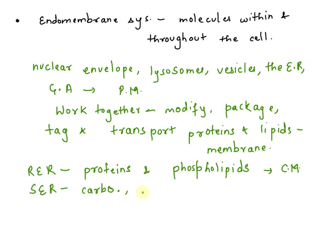 Solved Explain The Endomembrane System