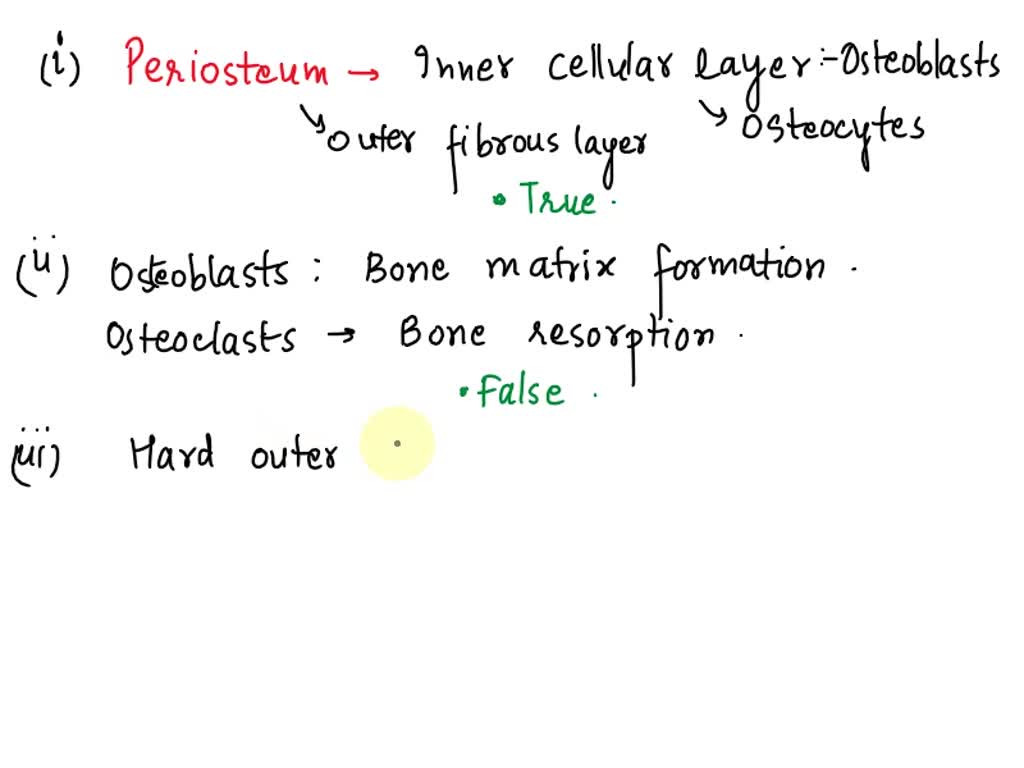 SOLVED During Endochondral Ossification The Hyaline Cartilage Is