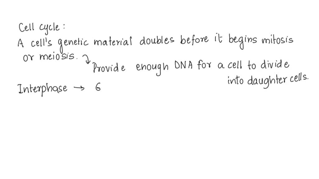 SOLVED DNA Replication Occurs During Which Phase Of The Eukaryotic