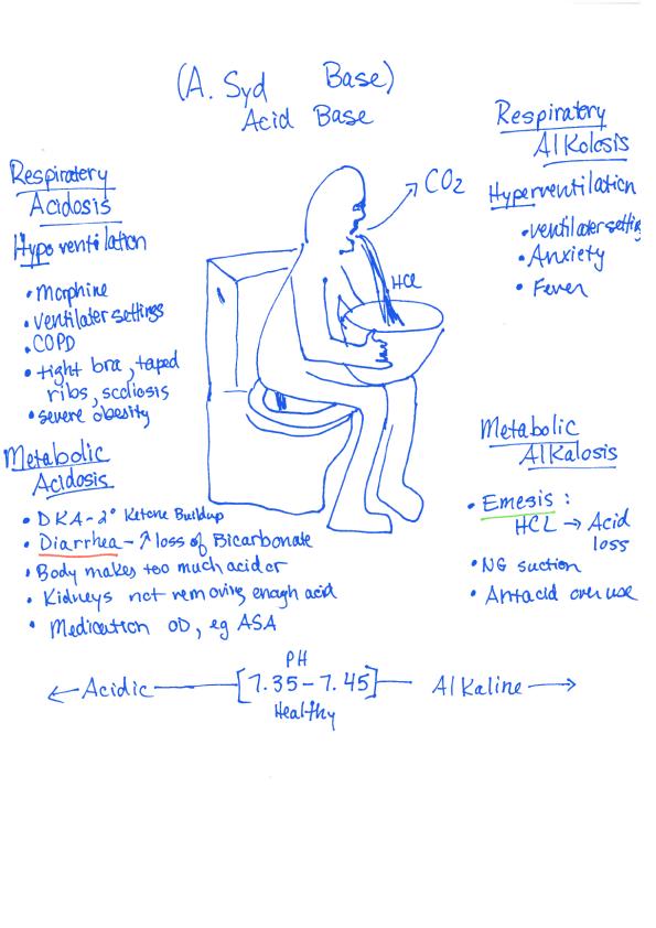 Solved Which Two Major Body Systems Help Regulate Acid Base Balance In