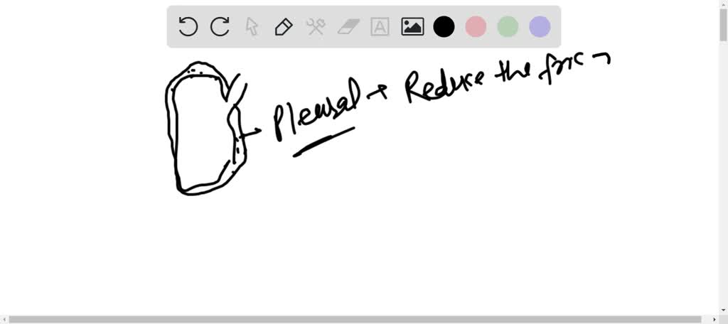 Solved Select The Incorrect Statement From The Following A Pleural