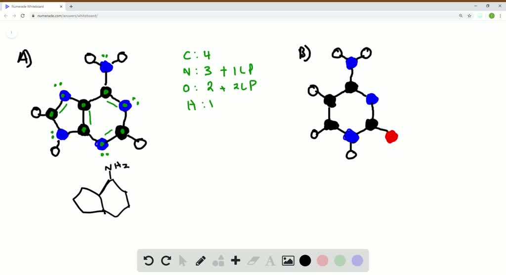 Solved The Following Molecular Models Are Representations Of A