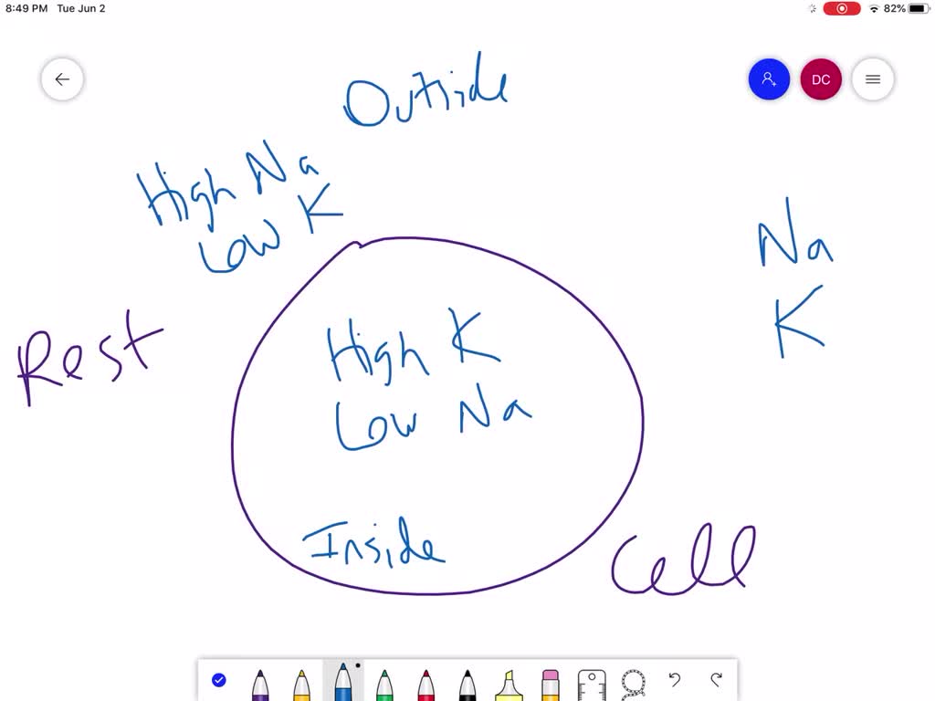 Solved In Comparison With The Intracellular Fluid The Extracellular