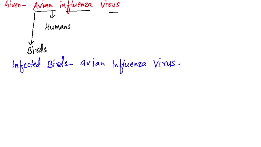 SOLVED Texto Argumentativo Sobre La Importancia De Conocer La