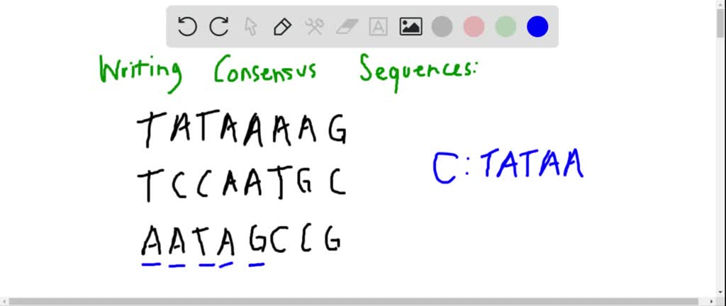 SOLVED Provide The Consensus Sequence For The First Three Actual