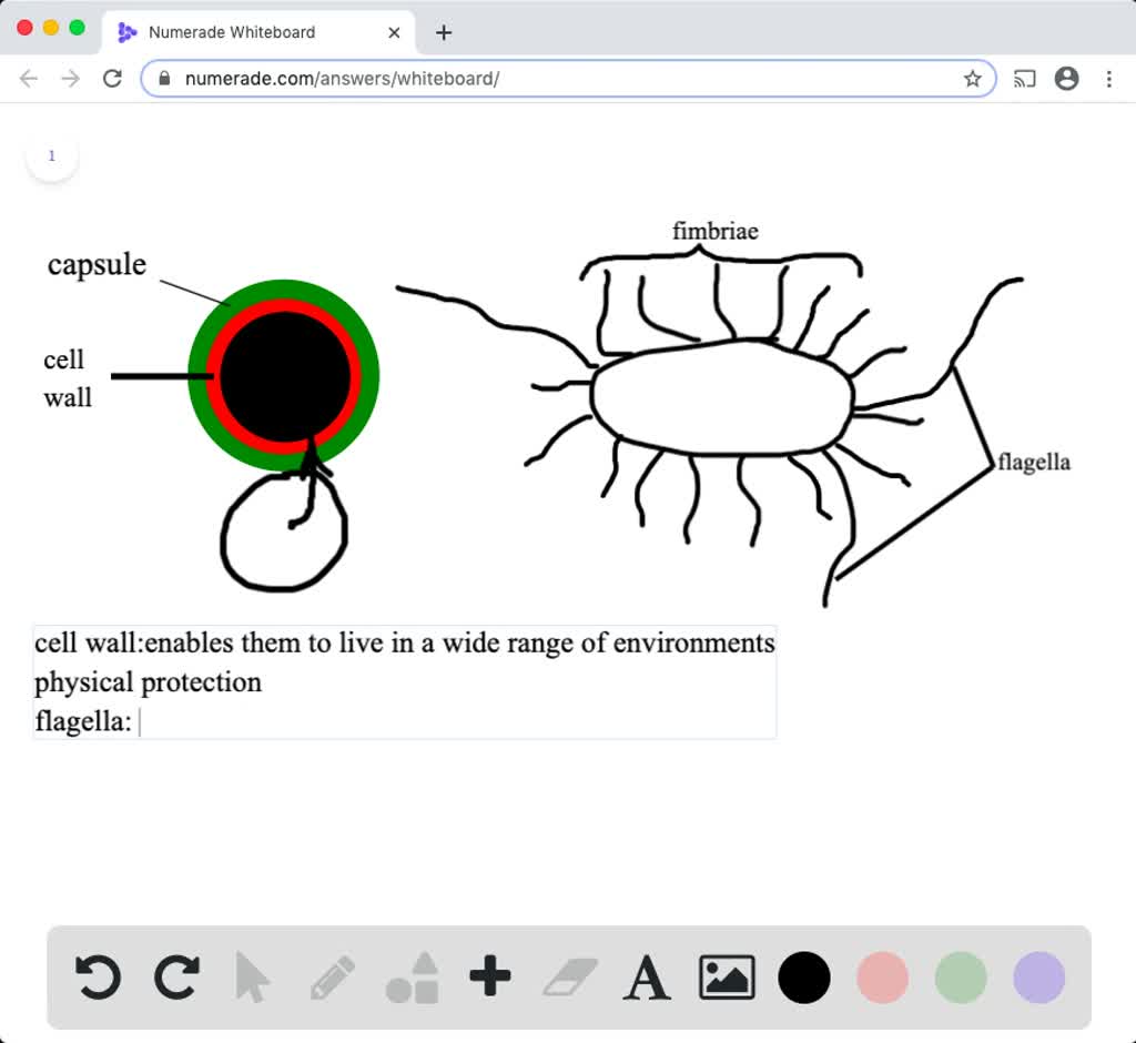 SOLVED Explain How Each Of The Following Characteristics Contributes To The Success Of