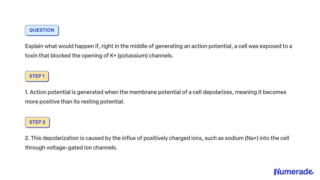 Solved Explain What Would Happen If Right In The Middle Of Generating