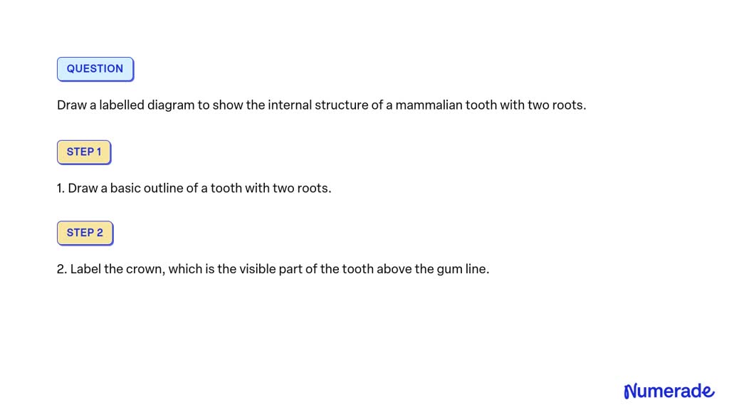 Solved Draw A Labelled Diagram To Show The Internal Structure Of A