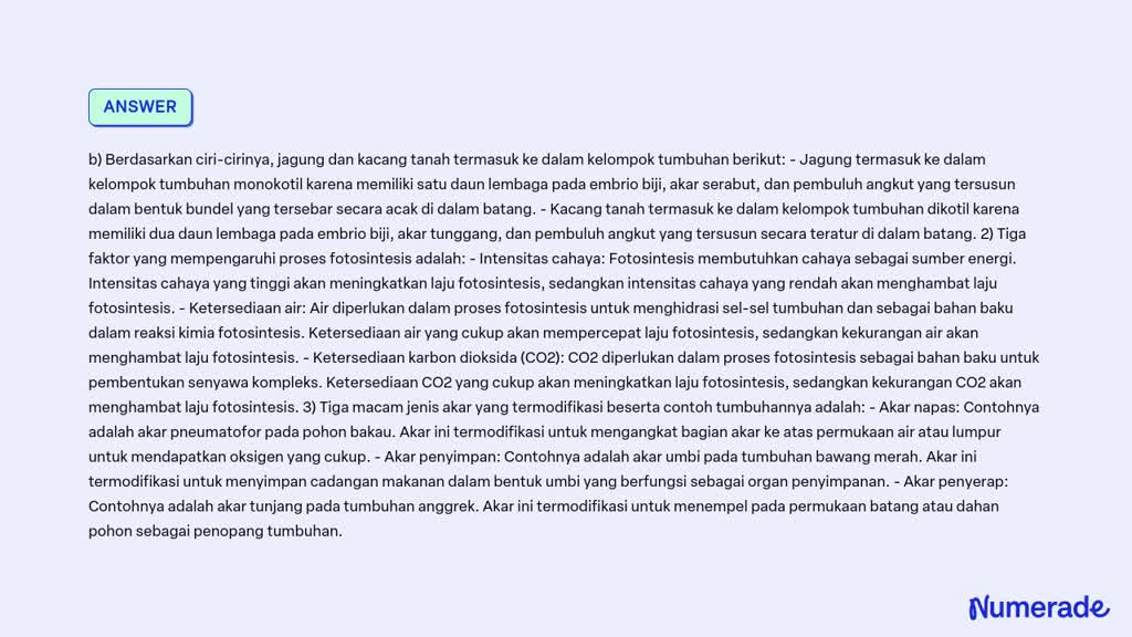 SOLVED Berdasarkan Hasil Pengamatan Kamu Pada Saat Mengamati Struktur Anatomi Batang Pada