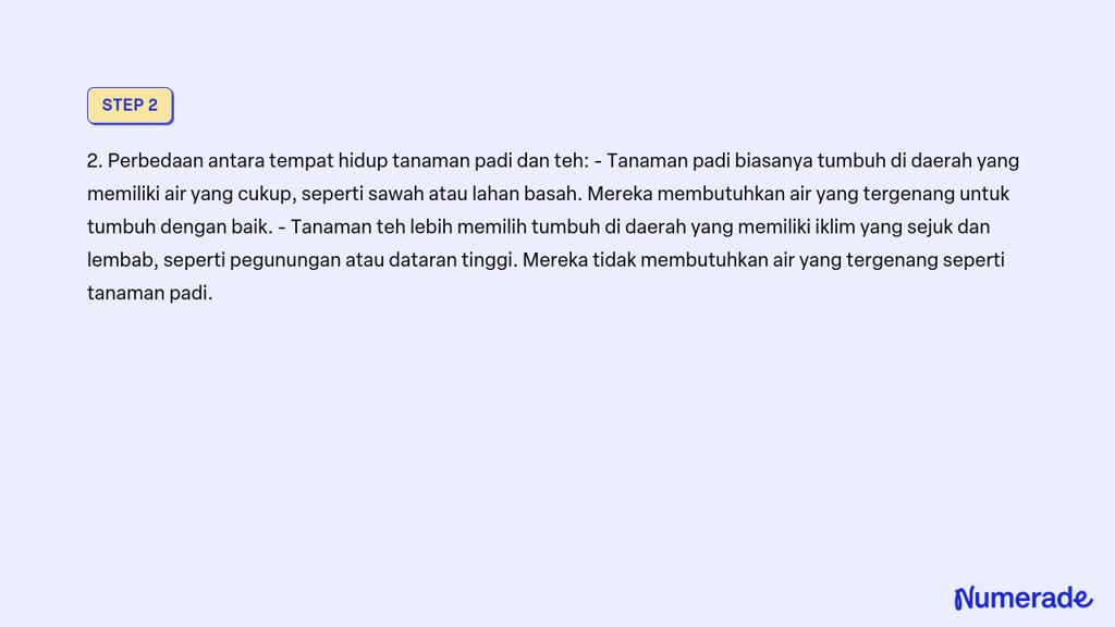 Solved Apa Kesimpulan Tentang Tanaman Padi Dan Teh Diatas Apa