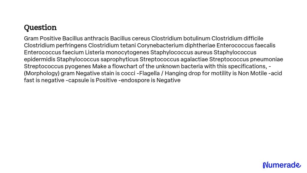 Solved Gram Positive Bacillus Anthracis Bacillus Cereus Clostridium