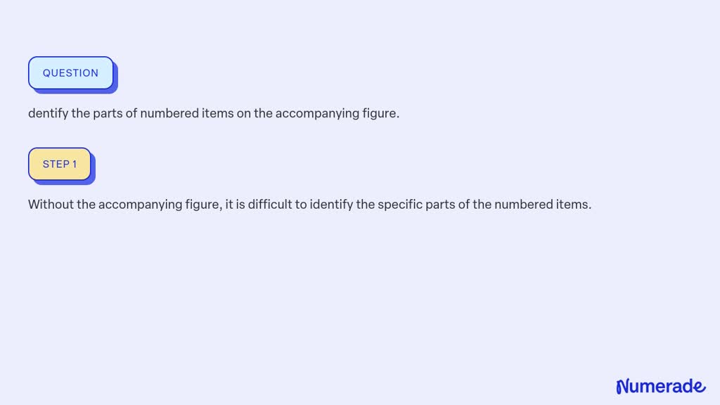 SOLVED Dentify The Parts Of Numbered Items On The Accompanying Figure