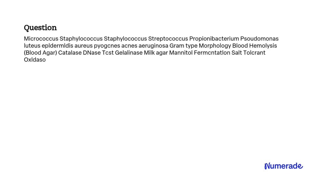 Solved Micrococcus Staphylococcus Staphylococcus Streptococcus