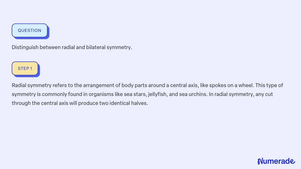 SOLVED Distinguish Between Radial And Bilateral Symmetry