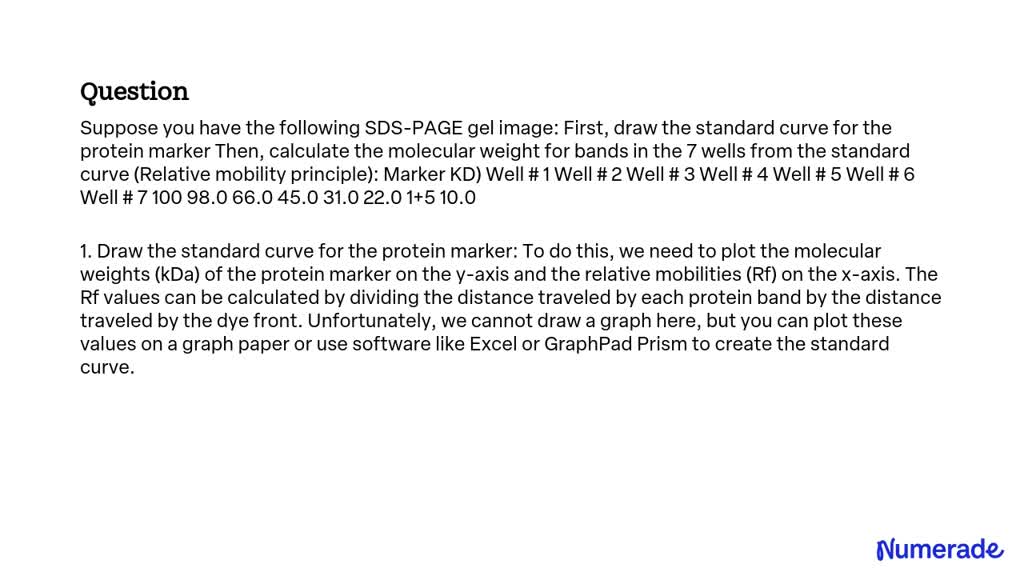 Solved Suppose You Have The Following Sds Page Gel Image First Draw