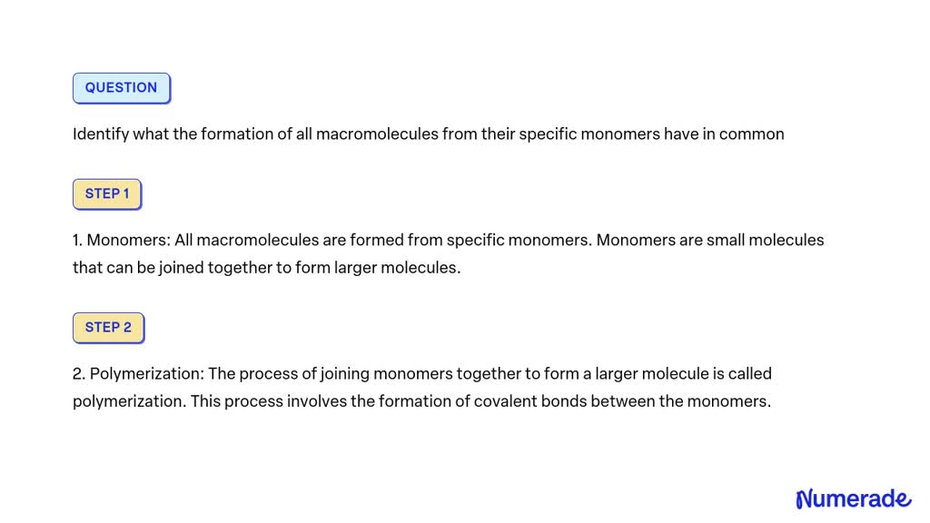 Solved Identify What The Formation Of All Macromolecules From Their