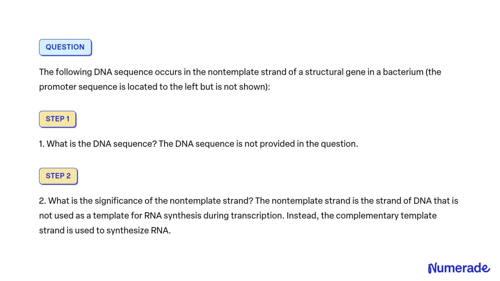 SOLVED The Following DNA Sequence Occurs In The Nontemplate Strand Of