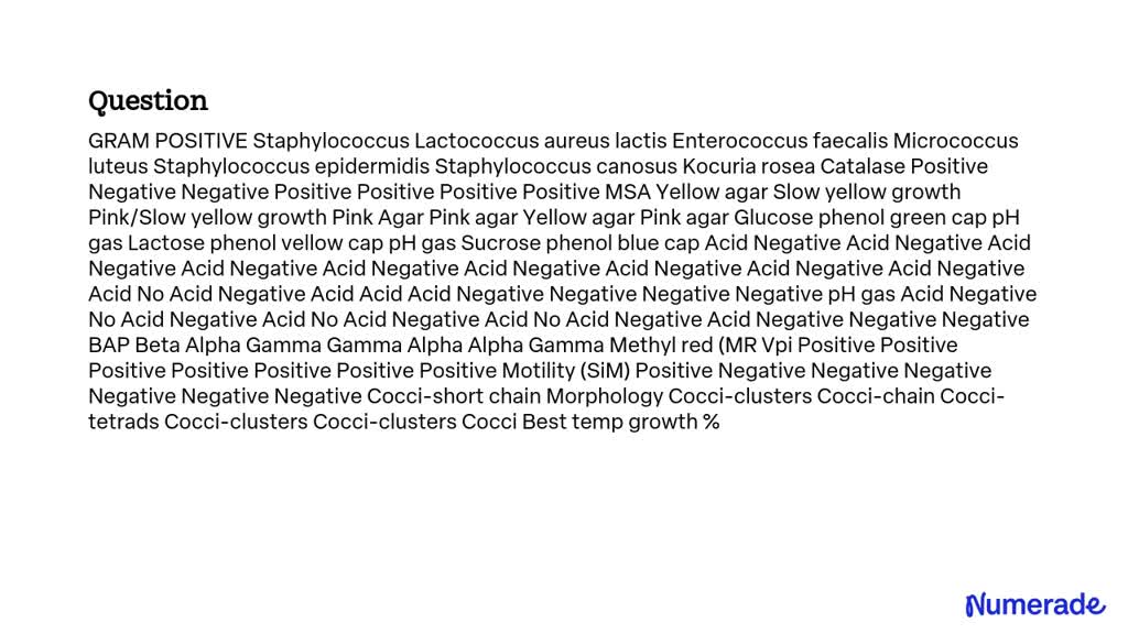 SOLVED GRAM POSITIVE Staphylococcus Lactococcus Lactis Enterococcus