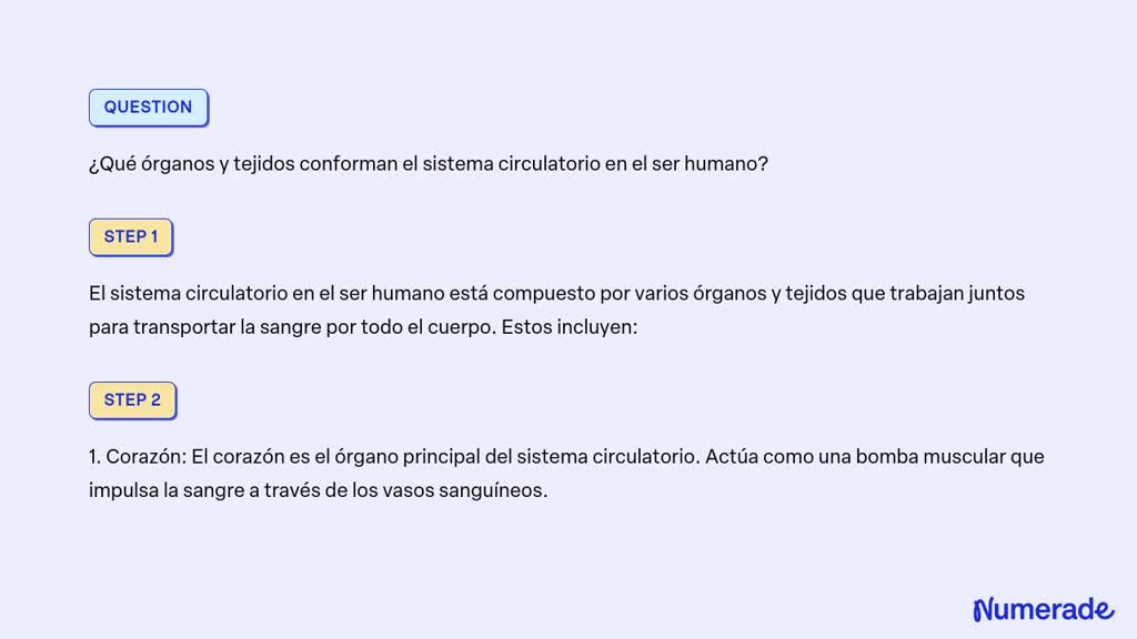 SOLVED Qué órganos y tejidos conforman el sistema circulatorio en el