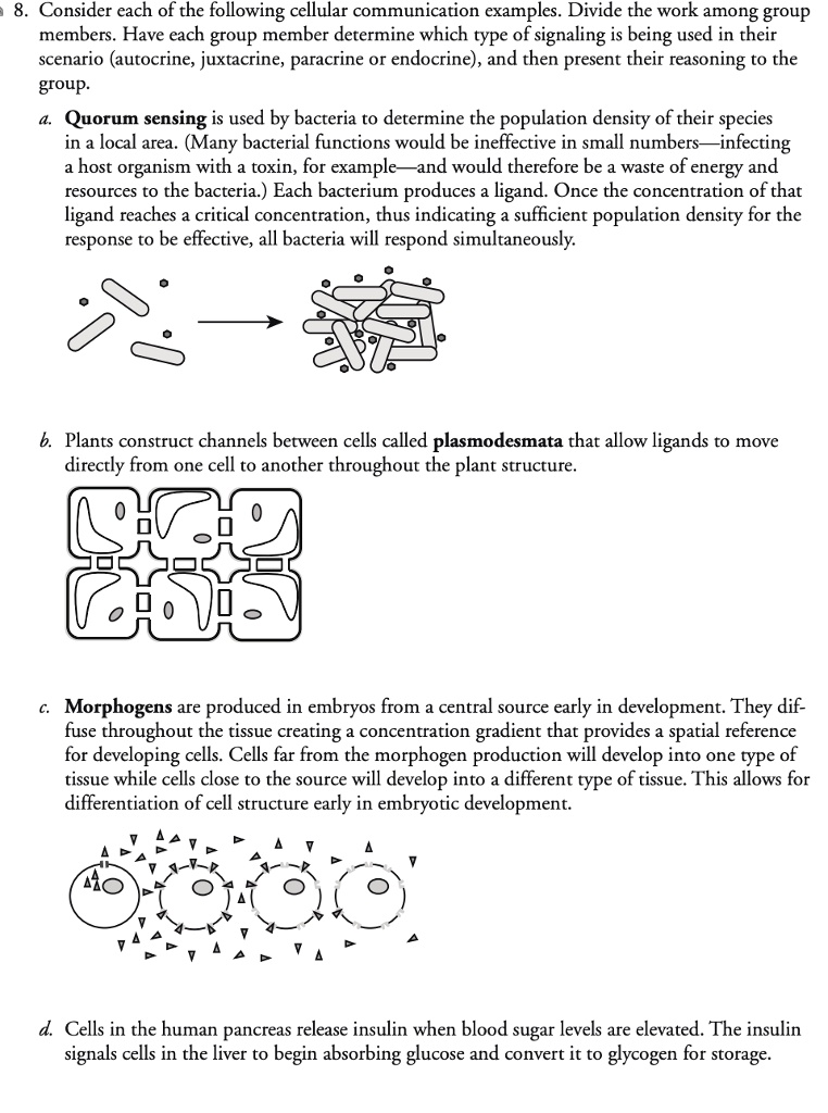 8. Consider each of the following cellular communication examples. Divide the work among group
members. Have each group member determine which type of signaling is being used in their
scenario (autocrine, juxtacrine, paracrine or endocrine), and then present their reasoning to the
group.
a. Quorum sensing is used by bacteria to determine the population density of their species
in a local area. (Many bacterial functions would be ineffective in small numbers-infecting
a host organism with a toxin, for example-and would therefore be a waste of energy and
resources to the bacteria.) Each bacterium produces a ligand. Once the concentration of that
ligand reaches a critical concentration, thus indicating a sufficient population density for the
response to be effective, all bacteria will respond simultaneously.
b. Plants construct channels between cells called plasmodesmata that allow ligands to move
directly from one cell to another throughout the plant structure.
c. Morphogens are produced in embryos from a central source early in development. They dif-
fuse throughout the tissue creating a concentration gradient that provides a spatial reference
for developing cells. Cells far from the morphogen production will develop into one type of
tissue while cells close to the source will develop into a different type of tissue. This allows for
differentiation of cell structure early in embryotic development.
d. Cells in the human pancreas release insulin when blood sugar levels are elevated. The insulin
signals cells in the liver to begin absorbing glucose and convert it to glycogen for storage.